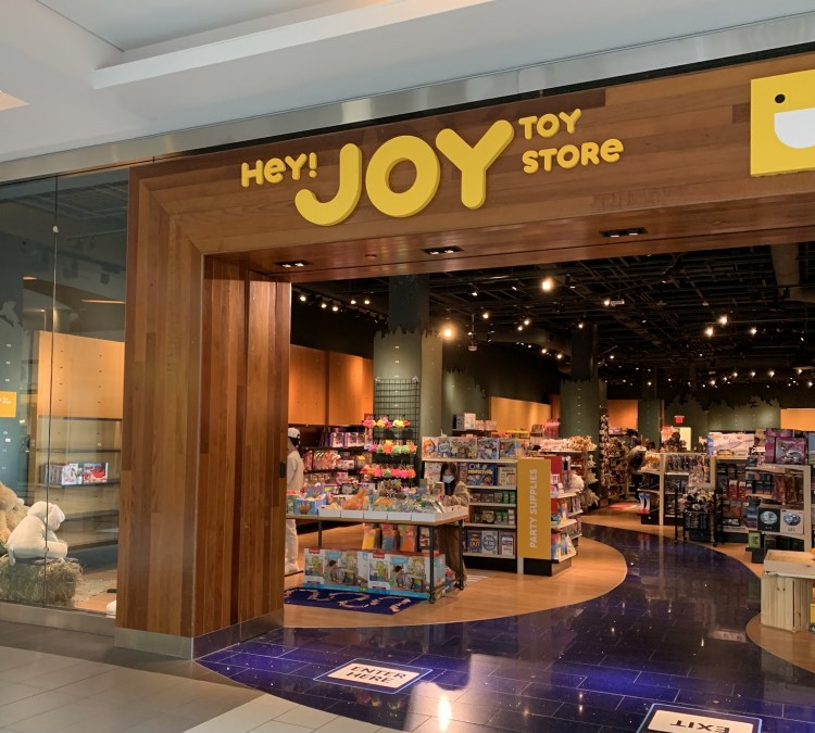 Hey Joy Toy Store (Garden&nbspCity,&nbspNY)